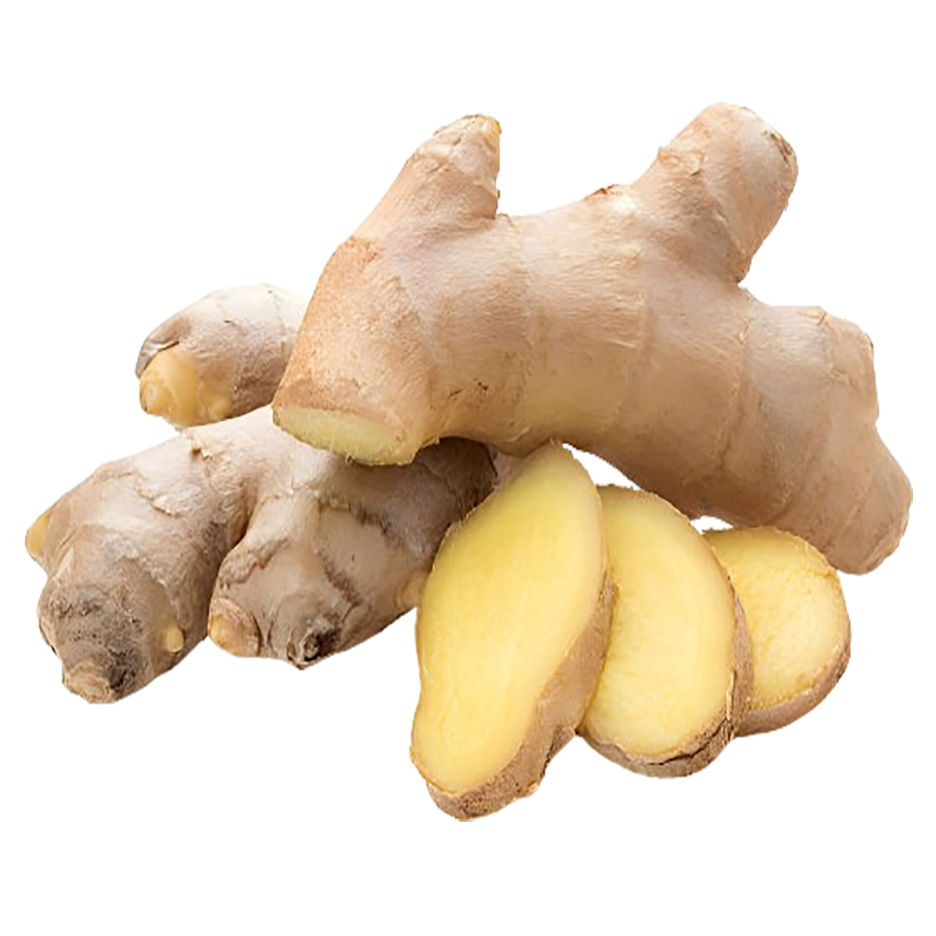 Ginger-removebg-preview copy